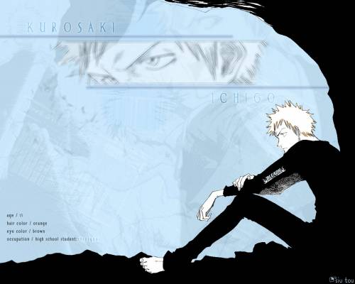 Otaku Gallery  / Anime e Manga / Bleach / Wallpapers / 035.jpg